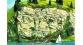 noch 58460 plaque de rochers